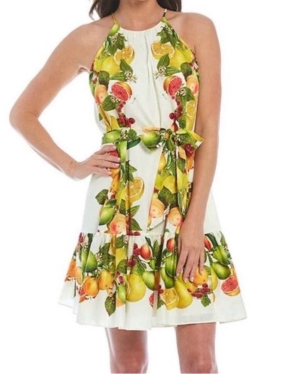 ANTONIO MELANI Dresses & Skirts - ANTONIO MELANI Antonio Melani Sloan Halter Citrus Print Dress • EUC • Size 12